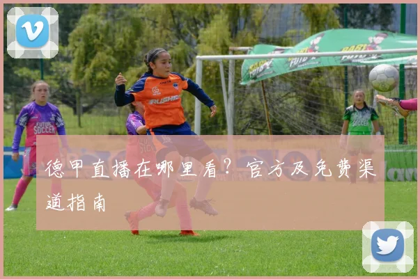 德甲直播在哪里看？官方及免费渠道指南